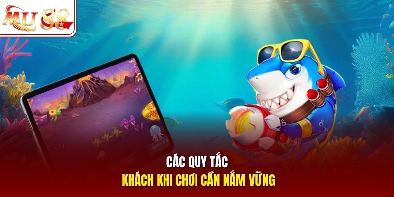 Các quy tắc khách khi chơi cần nắm vững