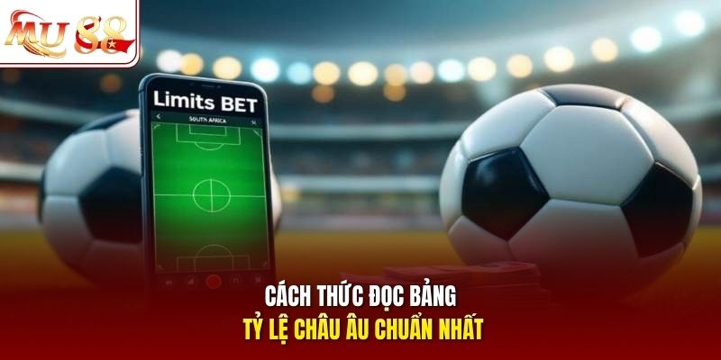 Cách thức đọc bảng tỷ lệ châu Âu chuẩn nhất