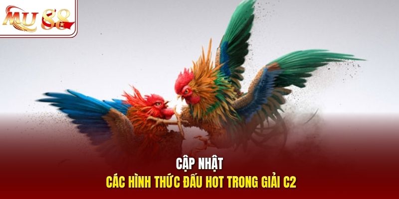 Cập nhật các hình thức đấu hot trong giải C2