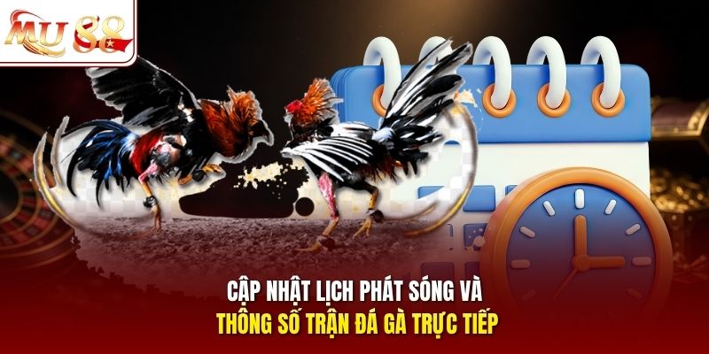 Cập nhật lịch phát sóng và thông số trận đá gà trực tiếp