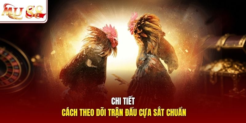 Chi tiết cách theo dõi trận đấu cựa sắt chuẩn