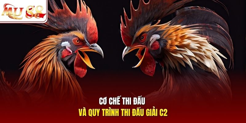 Cơ chế thi đấu và quy trình thi đấu giải C2
