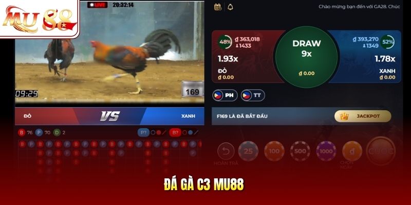 đá gà c3