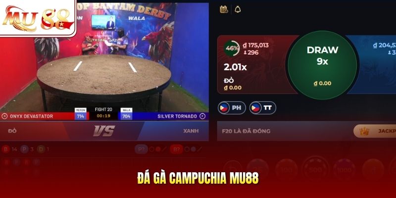 đá gà campuchia