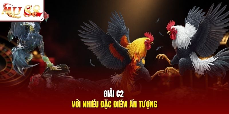 Giải C2 với nhiều đặc điểm ấn tượng