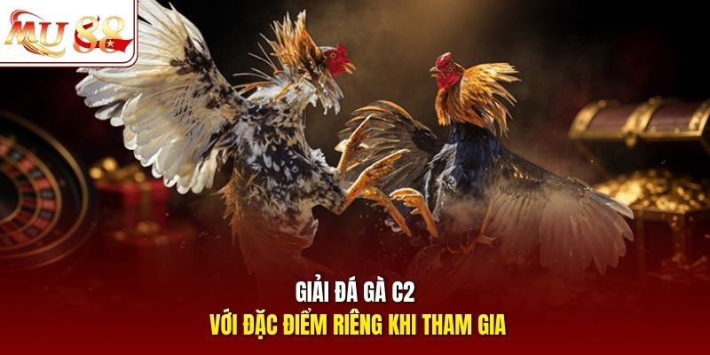 Giải đá gà C2 với đặc điểm riêng khi tham gia