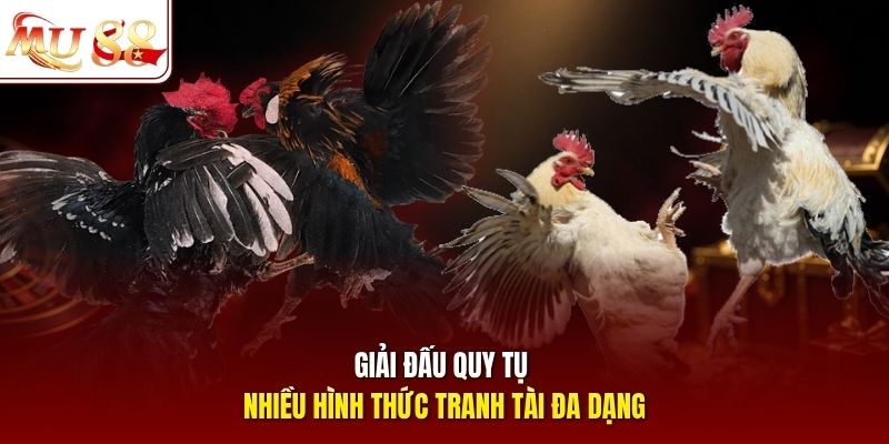 Giải đấu quy tụ nhiều hình thức tranh tài đa dạng