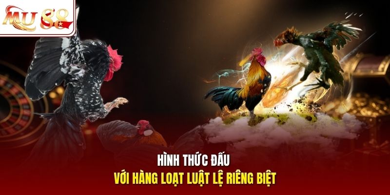 Hình thức đấu với hàng loạt luật lệ riêng biệt