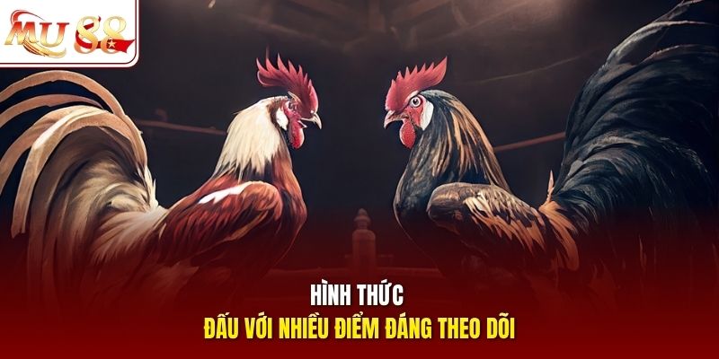 Hình thức đấu với nhiều điểm đáng theo dõi