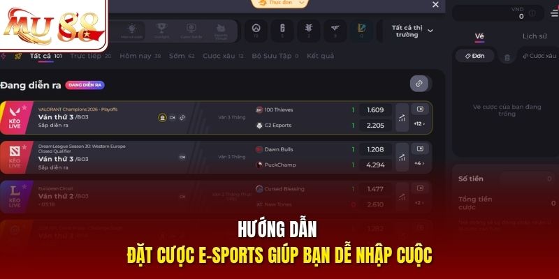 Hướng dẫn đặt cược E-sports giúp bạn dễ nhập cuộc
