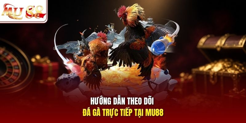 Hướng dẫn theo dõi đá gà trực tiếp tại MU88