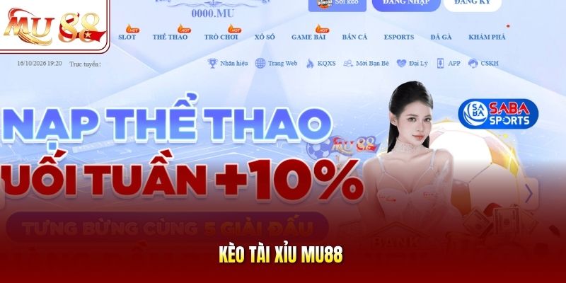 kèo tài xỉu