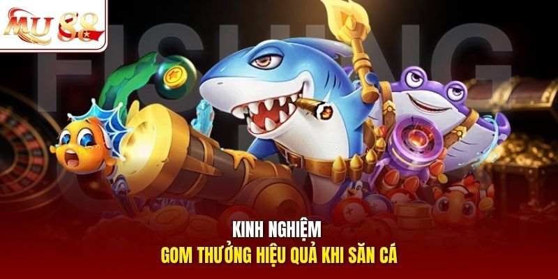 Kinh nghiệm gom thưởng hiệu quả khi săn cá
