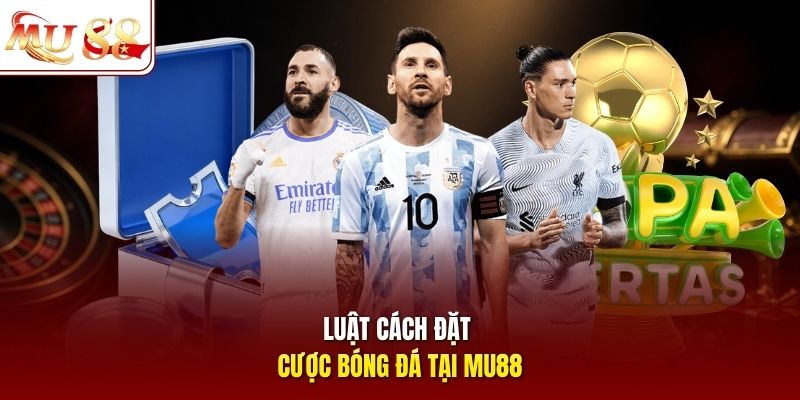 Luật cách đặt cược bóng đá tại MU88