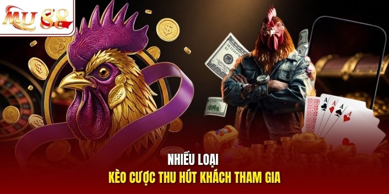 Nhiều loại kèo cược thu hút khách tham gia