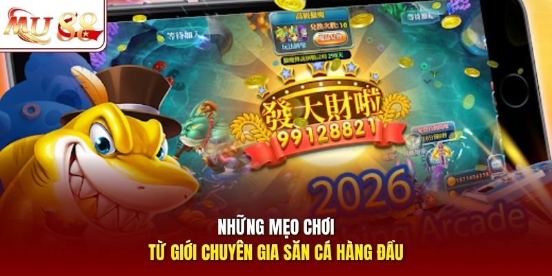 Những mẹo chơi từ giới chuyên gia săn cá hàng đầu