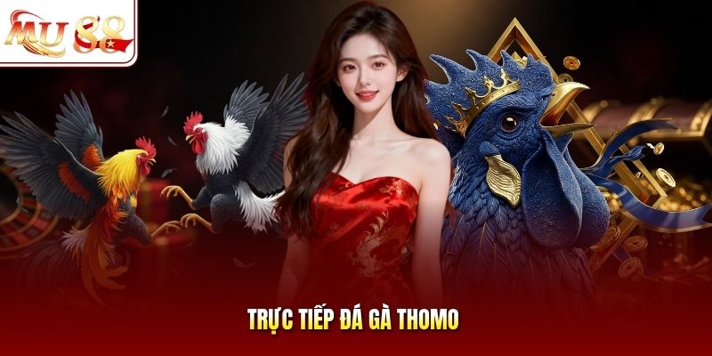 Trực Tiếp Đá Gà Thomo